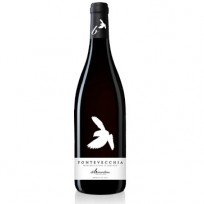 Montepulciano d'Abruzzo Fonte Vecchia Di Berardino 2021