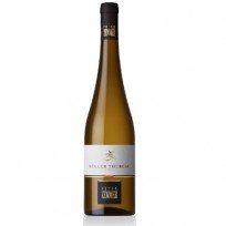 Müller Thurgau Zemmer Peter 2024