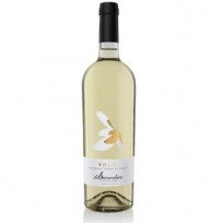 Pecorino Volo Di Berardino 2022