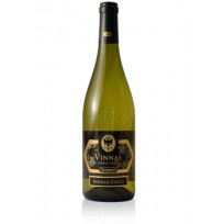 Ribolla Vinnae Jermann 2023