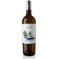 Salina Bianco Colosi 2024