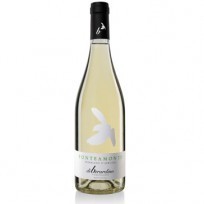 Trebbiano d'Abruzzo Fonte a Monte Di Berardino 2022