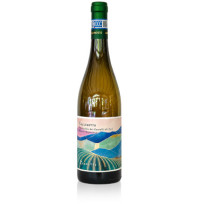 Verdicchio dei Castelli di Jesi Collinetto Zannotti 2025