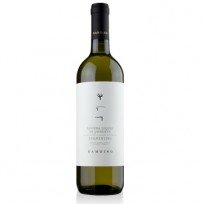 Vermentino Ramoino 2024