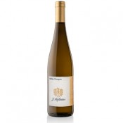 Müller Thurgau Hofstätter 2024