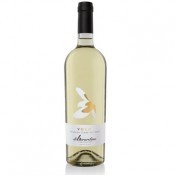 Pecorino Volo Di Berardino 2024