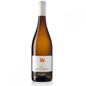 Pinot Grigio Rodaro 2022