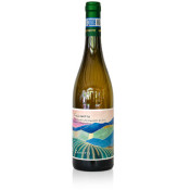 Verdicchio dei Castelli di Jesi Collinetto Zannotti 2025