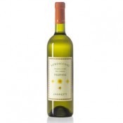 Verdicchio dei Castelli di Jesi Tropico Zannotti 2024