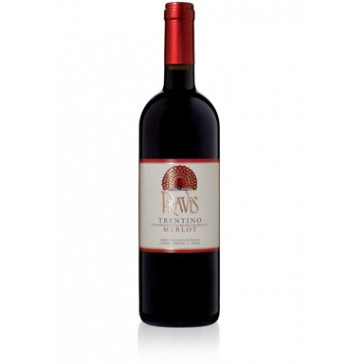 Merlot Pravis 2019