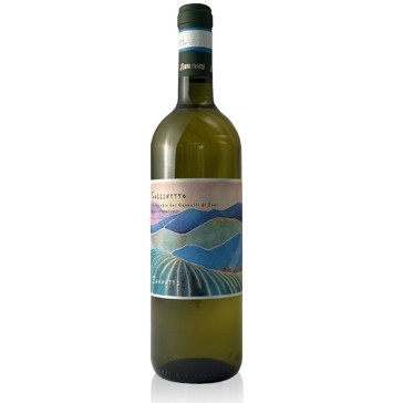 Verdicchio dei Castelli di Jesi Collinetto Zannotti  2023