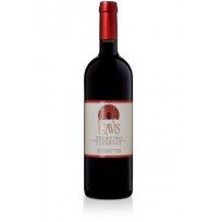 Cabernet Pravis 2019