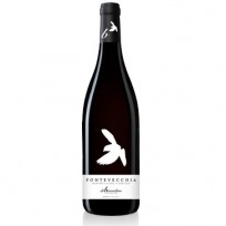 Montepulciano d'Abruzzo Fonte Vecchia Di Berardino 2021