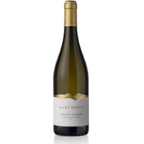 Müller Thurgau Elena Walch 2024
