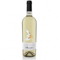 Pecorino Volo Di Berardino 2022