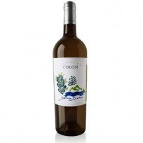 Salina Bianco Colosi 2023