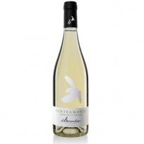 Trebbiano d'Abruzzo Fonte a Monte Di Berardino 2022