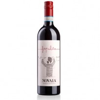 Valpolicella Classico Fapulito Novaia 2024