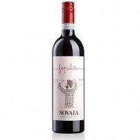 Valpolicella Classico Fapulito Novaia 2022