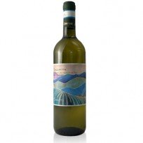 Verdicchio dei Castelli di Jesi Collinetto Zannotti  2023