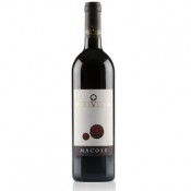 Bonarda Macole Paravella 2024