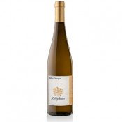 Müller Thurgau Hofstätter 2024