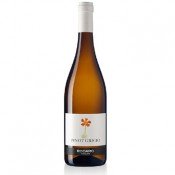 Pinot Grigio Rodaro 2022