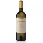 Sauvignon Vigna Castel Ringberg Elena Walch 2023