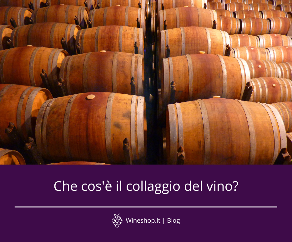 Che cos'è il collaggio del vino?