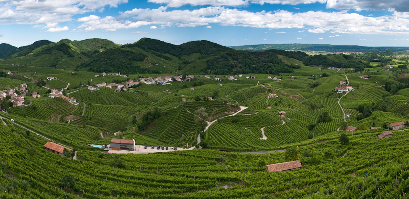 Le Colline del Prosecco Patrimonio Unesco