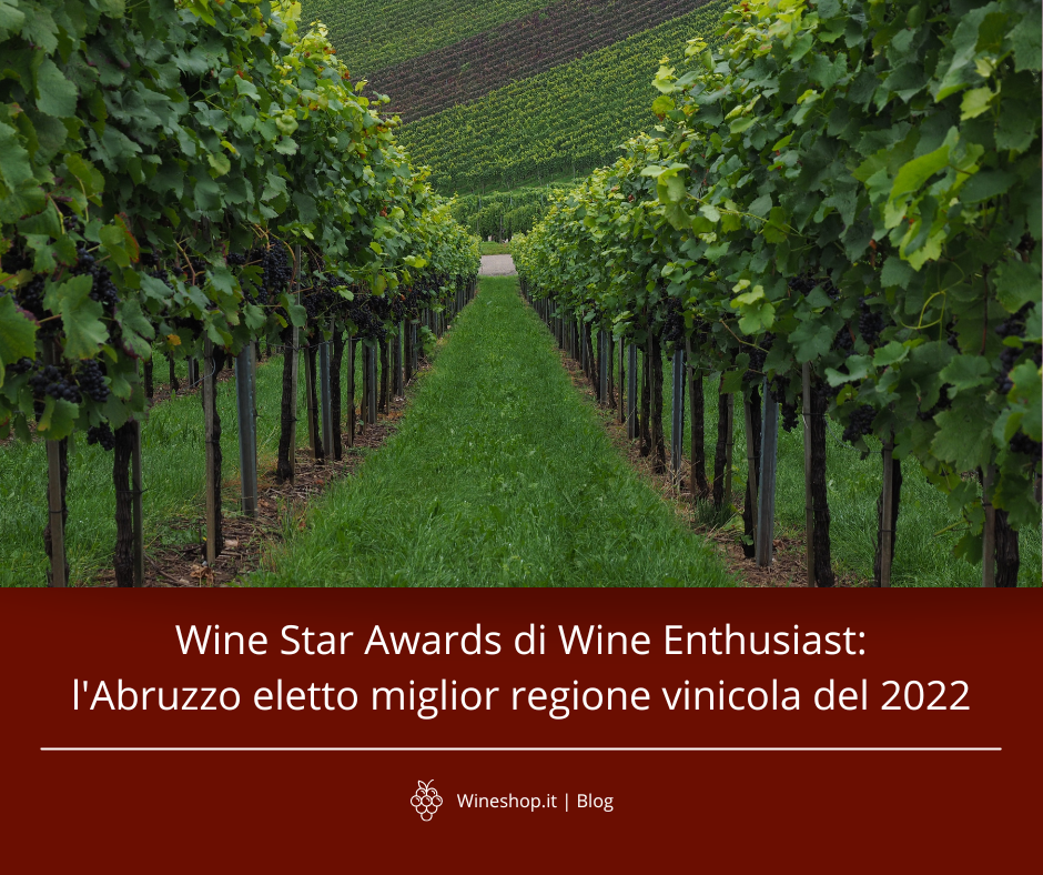 Wine Star Awards di Wine Enthusiast: l'Abruzzo eletto miglior regione vinicola del 2022