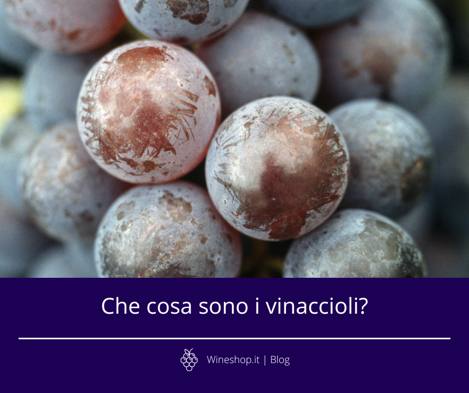 Che cosa sono i vinaccioli?