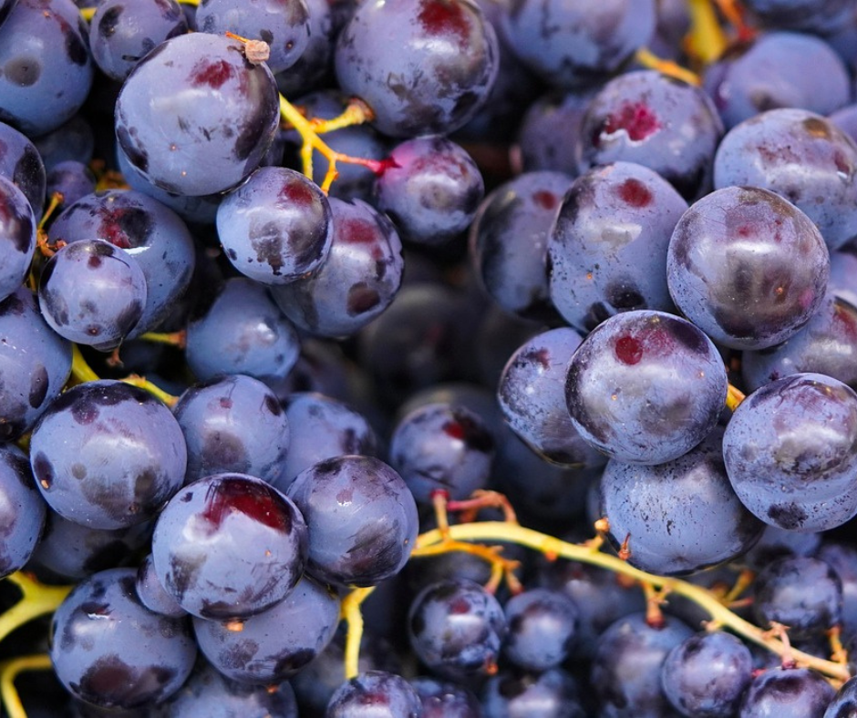 Notizie sul vino: l’Italia torna ad essere il primo produttore di vino al mondo?