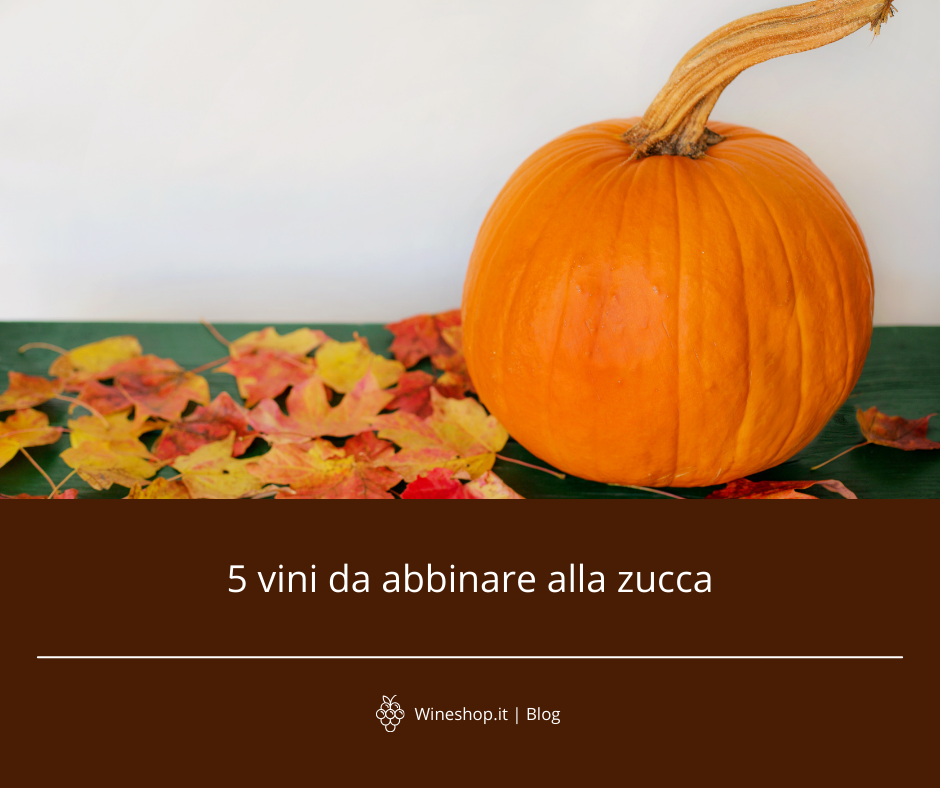 5 vini da abbinare alla zucca