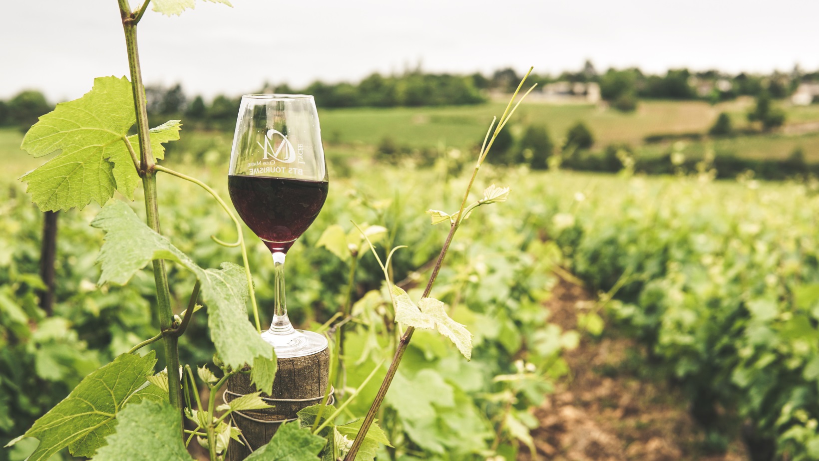 5 motivi per comprare vini italiani