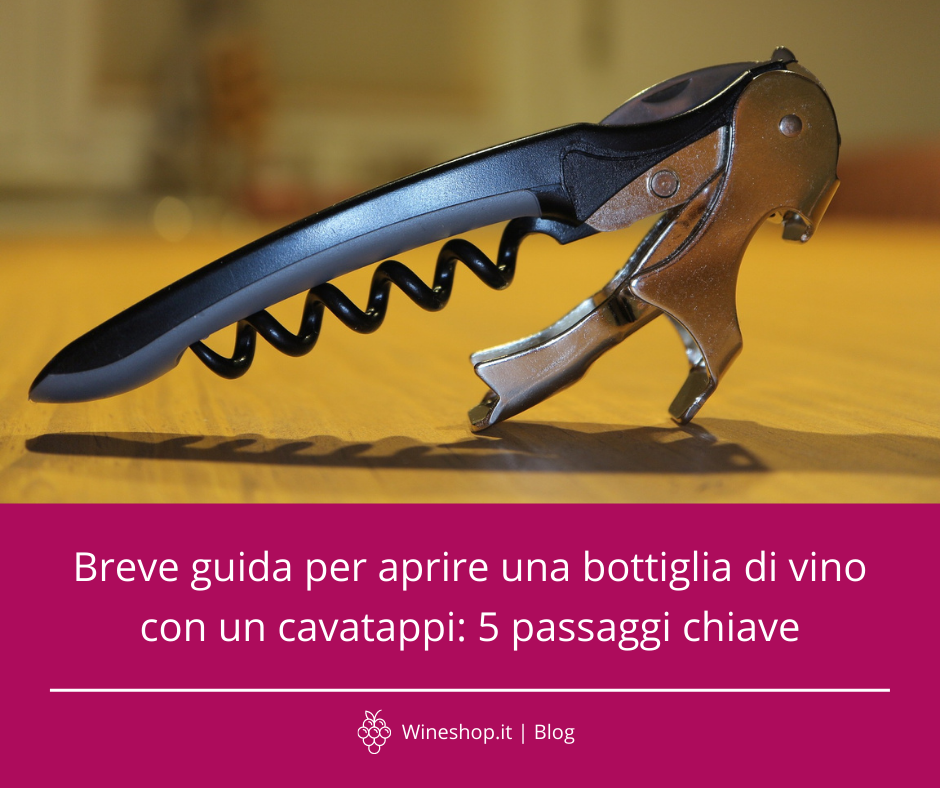 Breve guida su come aprire una bottiglia di vino con un cavatappi: 5 passaggi chiave