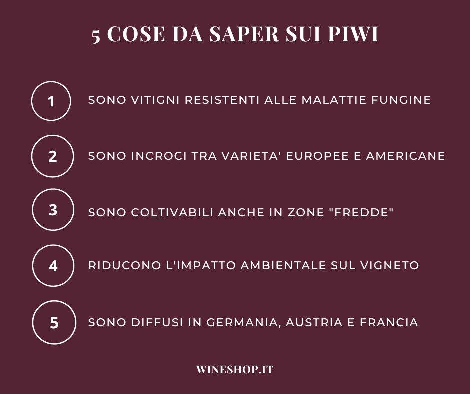 Che cosa sono i vitigni e i vini PIWI?