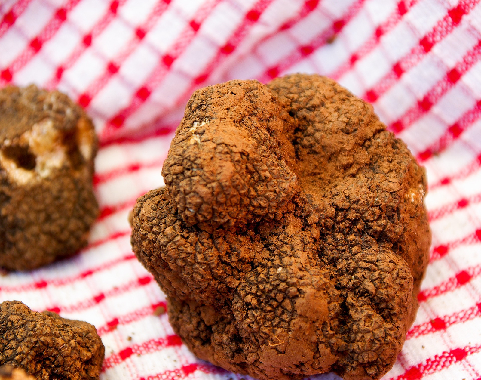 Abbinamento Vino e Tartufo