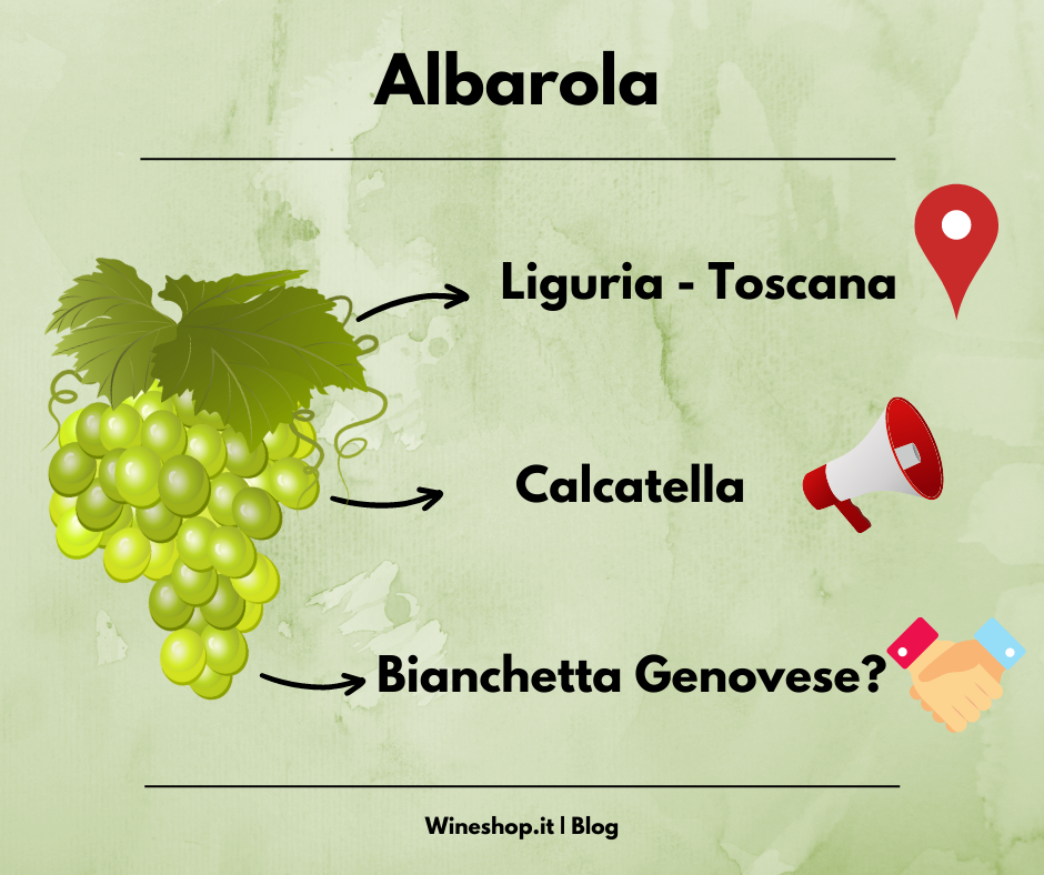 Albarola: vitigno e vini