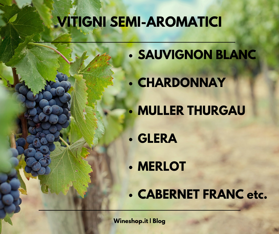 Vitigni aromatici, semi-aromatici e neutri: significato e differenze
