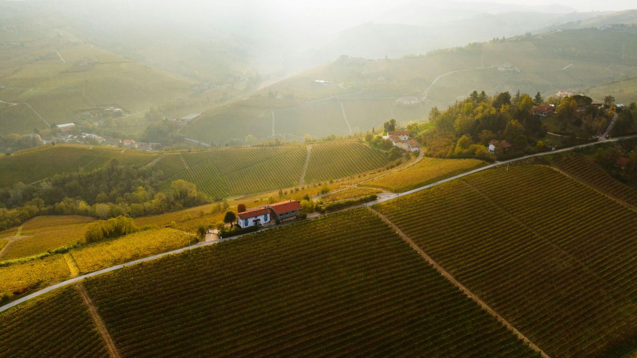 10 cose da sapere sulla Croatina