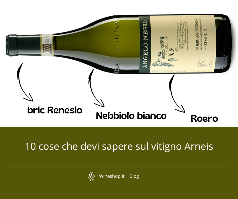 10 cose che devi sapere sul vitigno Arneis