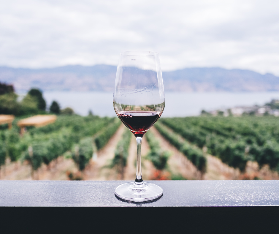  5 motivi per comprare vini italiani