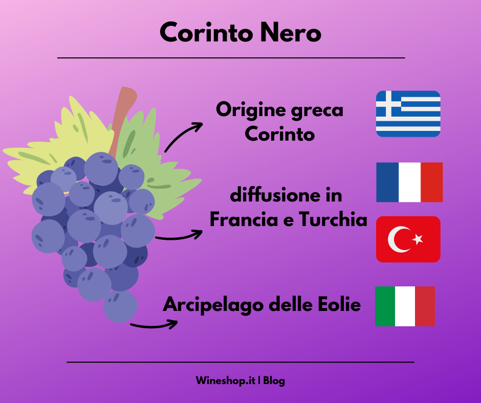 Corinto Nero: storia, zona di produzione, caratteristiche del vitigno e dei vini, abbinamenti e vendita online