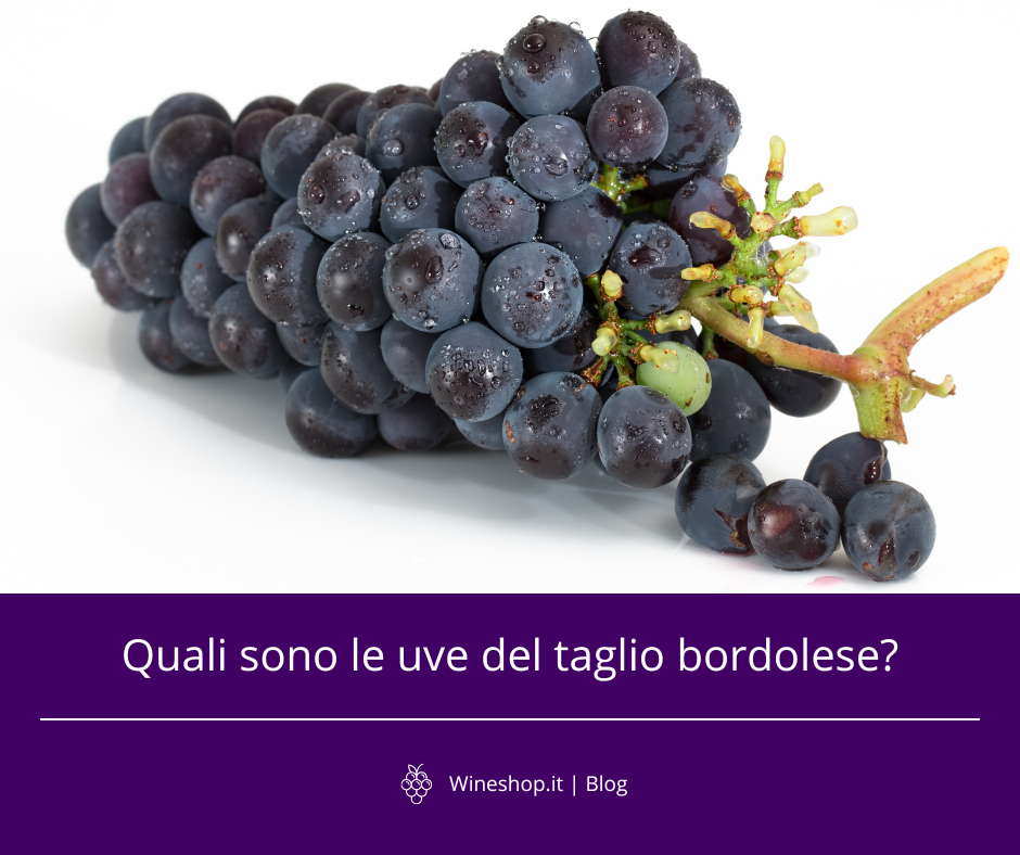 Quali sono le uve del taglio bordolese?