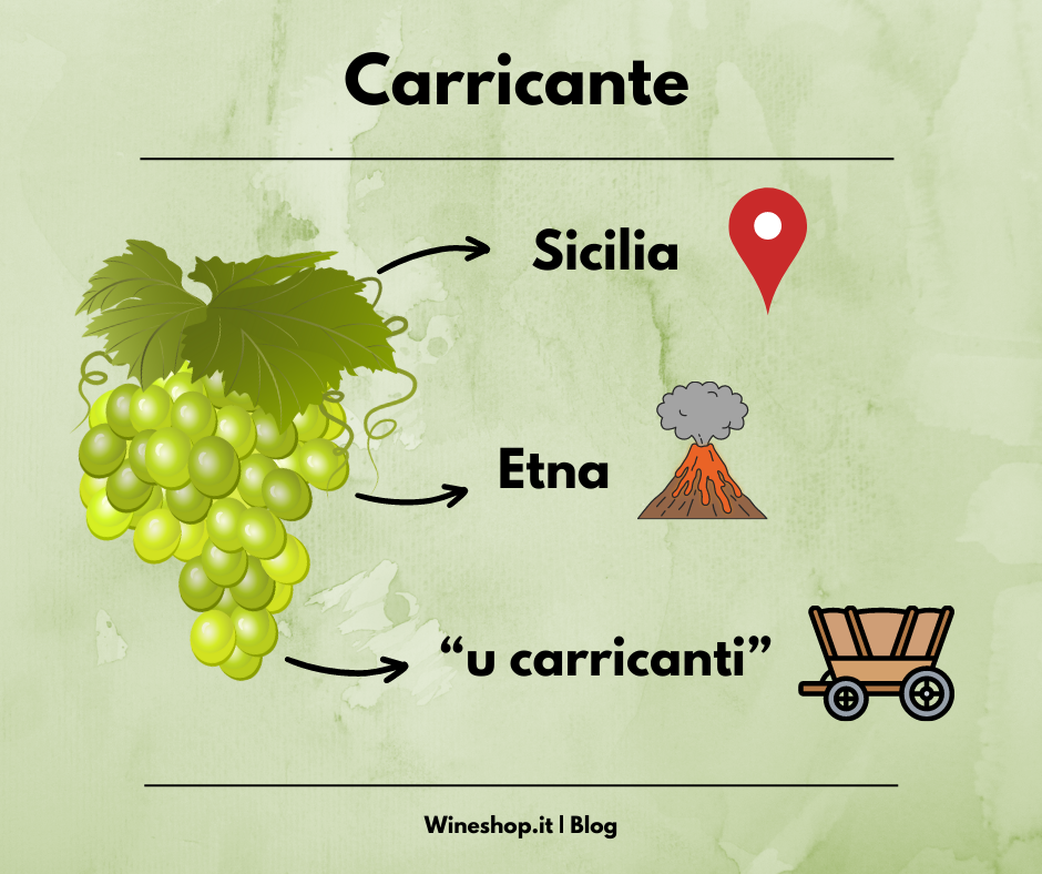 Carricante: vitigno e vini