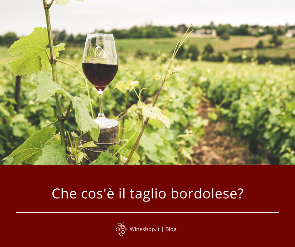 Che cos'è il taglio bordolese?