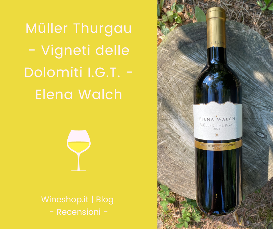 Müller Thurgau Elena Walch 2021