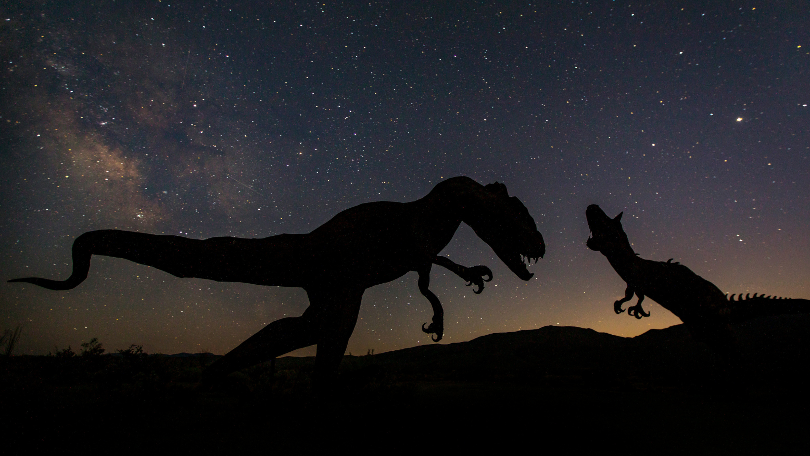 SAI CHE LA VITE SI É AFFERMATA ANCHE GRAZIE ALL'ESTINZIONE DEI DINOSAURI?