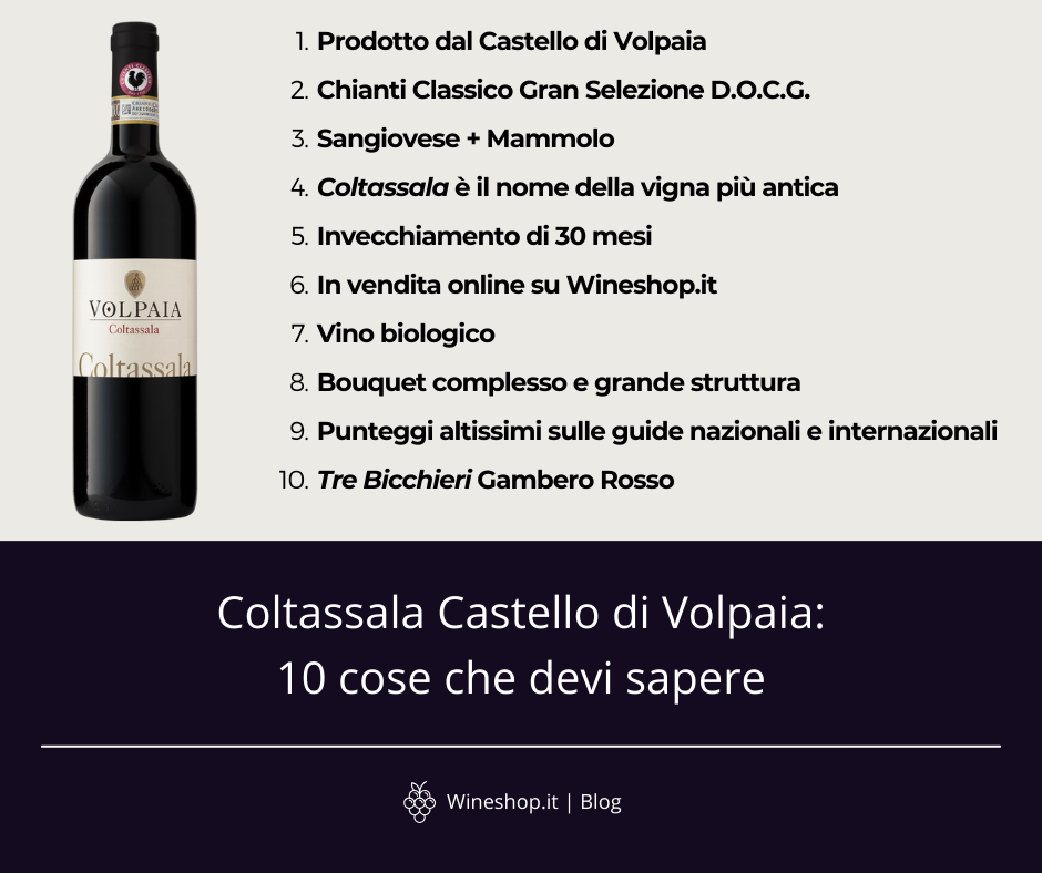 Coltassala Castello di Volpaia: 10 cose che devi sapere
